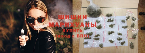 ешки Бородино