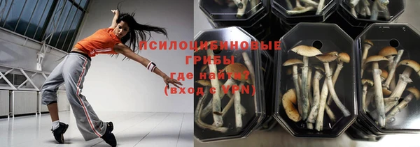 ешки Бородино