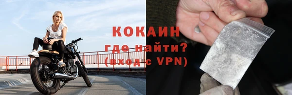 ешки Бородино