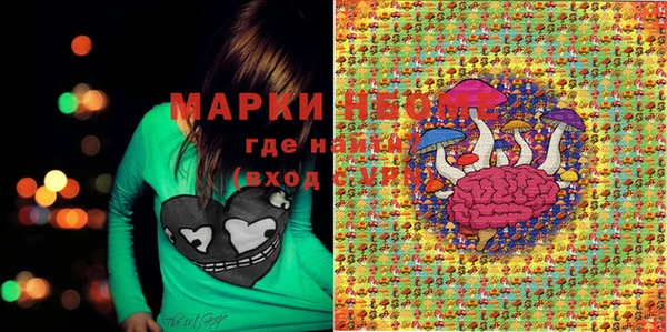 ешки Бородино