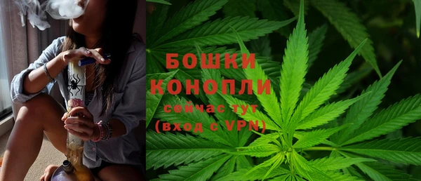 ешки Бородино