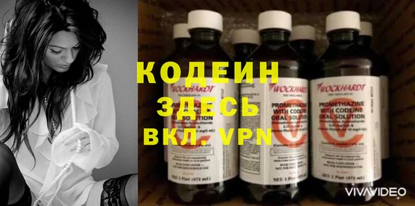 ешки Бородино
