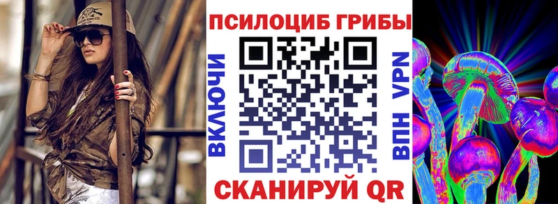 Галлюциногенные грибы Psilocybine cubensis  Шарыпово 